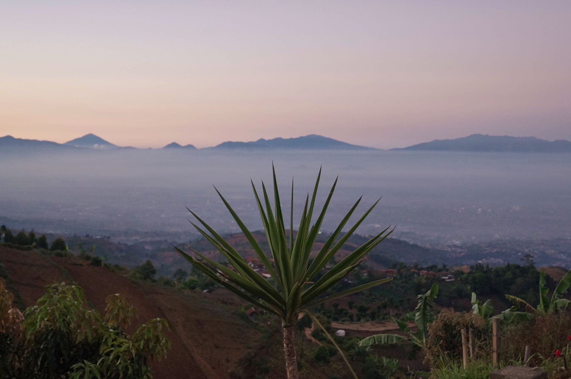 Bukit Moko